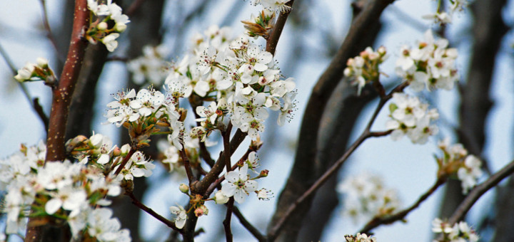 Cómo mantenerse alegre siempre, aún con el paso de los años