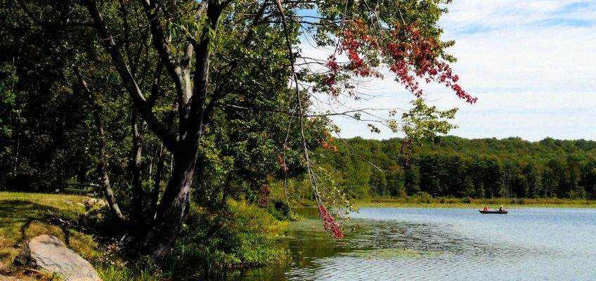 dia-del-psicologo-13-de-octubre